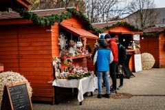 600252787_1279004640924620_8593308945051783847_n