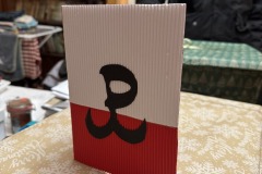 597914740_32785224034455108_3943599600661988960_n