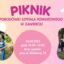 Rodzinny Piknik Porodówki